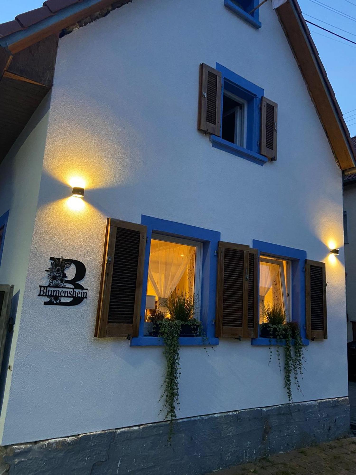 Ferienwohnung Blumenshein Bei Speyer Karlsruhe Familienfreundlich 5 Pers Zeiskam Esterno foto
